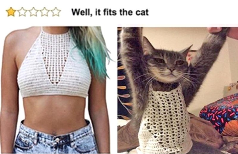 Odjevni predmet koji je naručila online bio joj je premalen. Čak ni mačka nije bila zadovoljna.