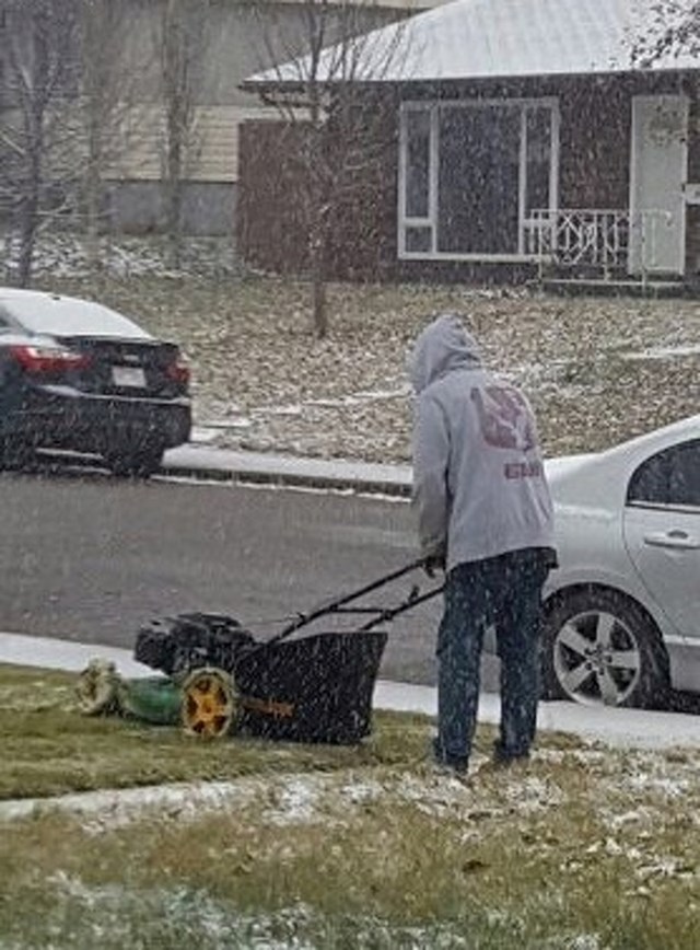 Odlučio je da će taj dan pokositi travu. Ni snijeg ga nije uspio spriječiti.