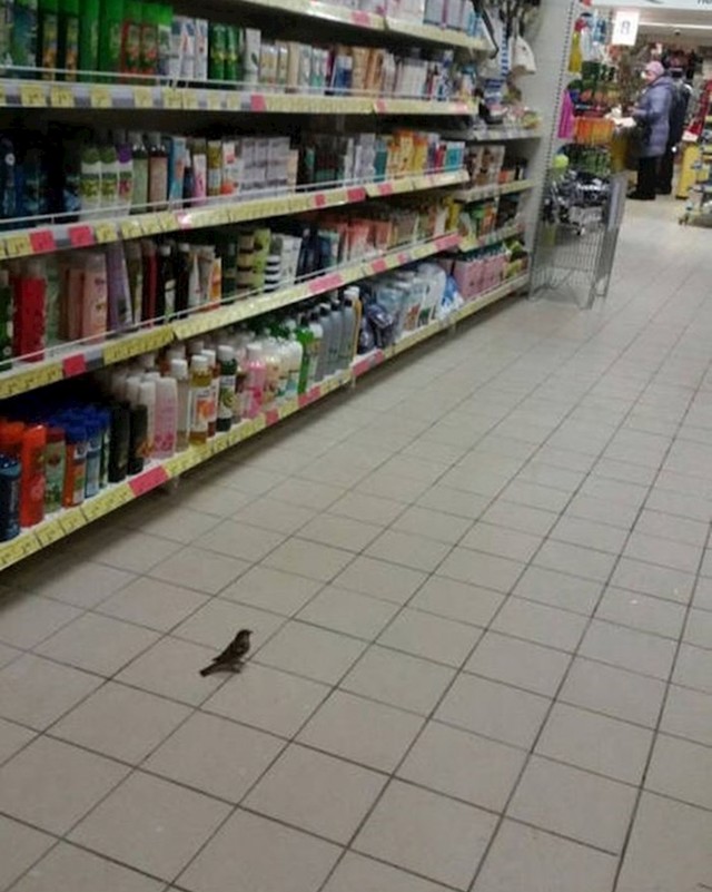 #9