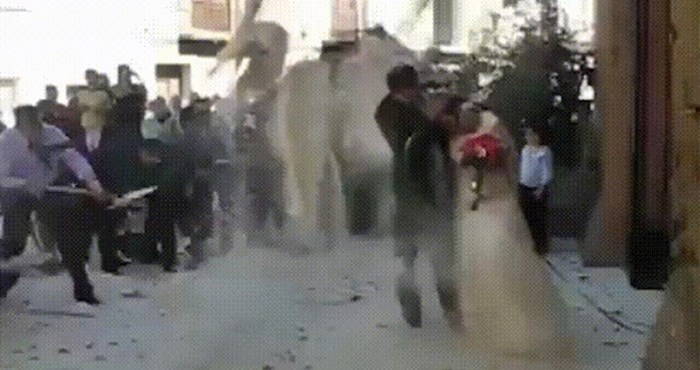 Gosti vjenčanja dočekali su mladence s lopatama, pogledajte što su snimili ispred crkve