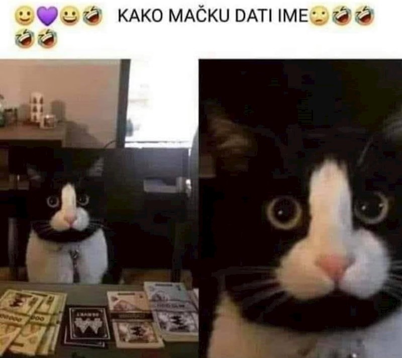 Kakvo biste mu ime dali? Napišite u komentaru. 😄