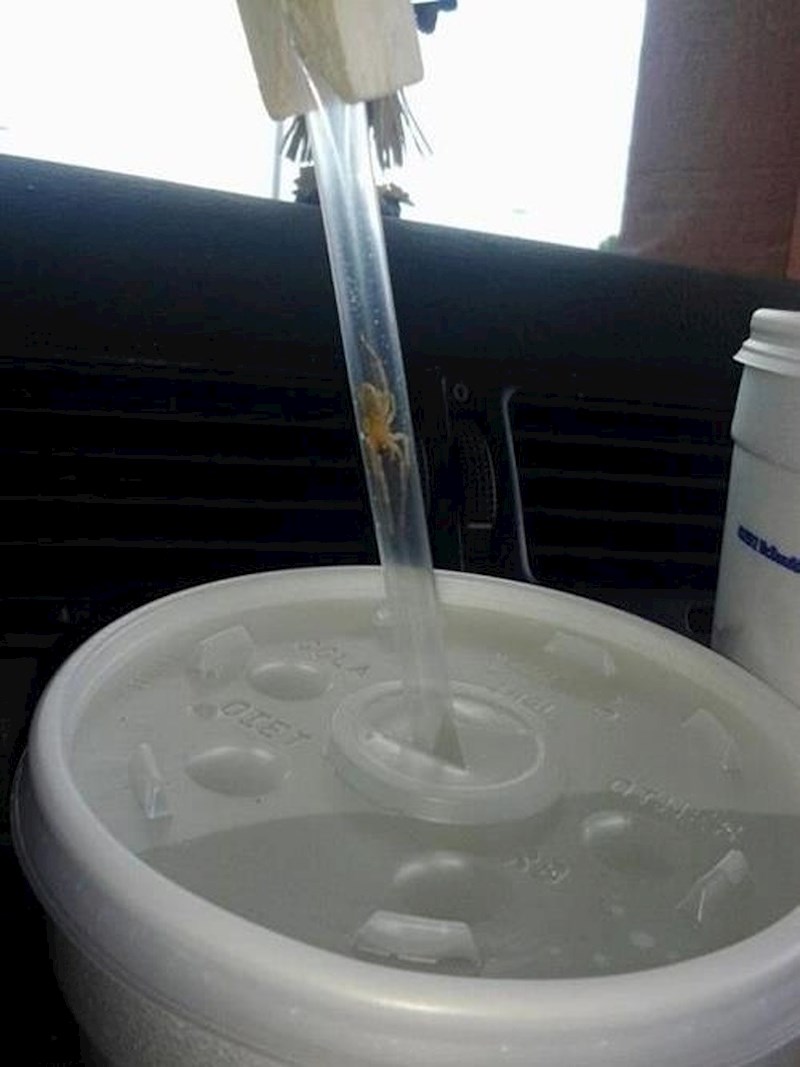 Možda bi trebalo uzeti drugu slamku...