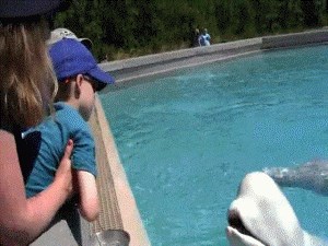 Mama je djetetu pokazivala prekrasnog beluga kita, a onda se dogodilo nešto neočekivano