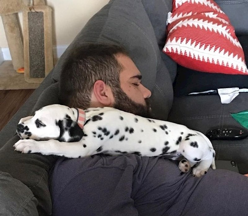 "Zaspao sam gledajući film, kasnije sam saznao da je još netko zaspao na meni."