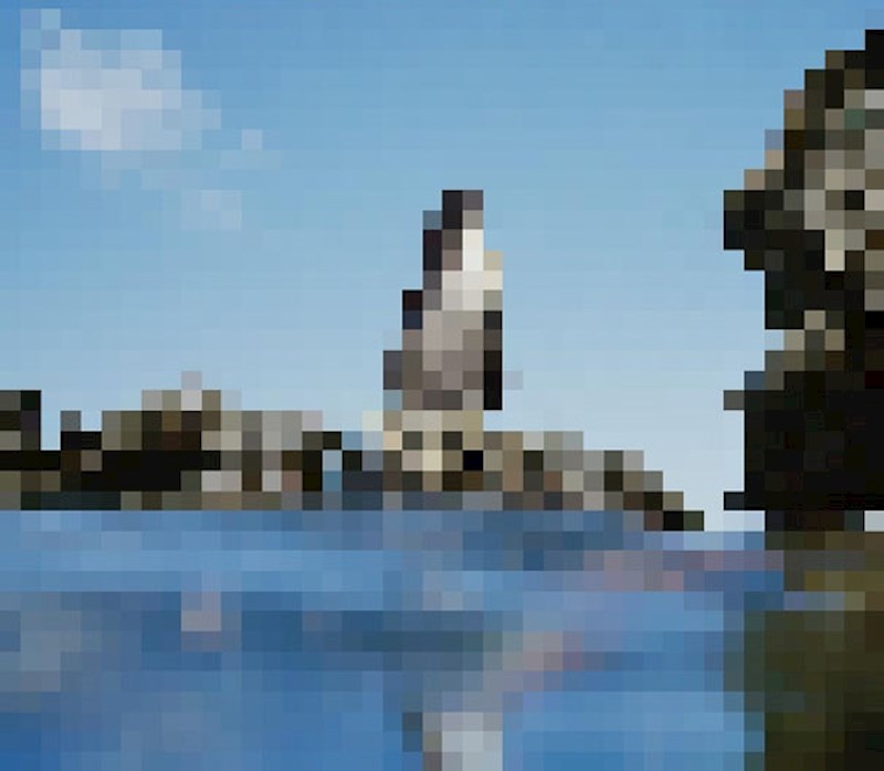 Galapagoški pingvin, preostalo: oko 2000 (procjena)