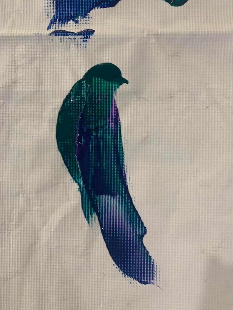 Ova ptica je naslikana sasvim slučajno. Netko je miješao boje.