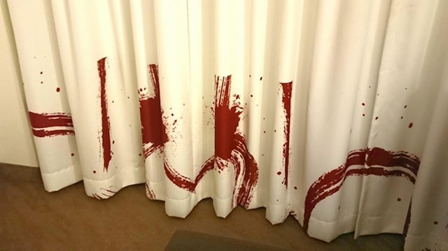 "Zavjese u ovom hotelu izgledaju zastrašujuće. Najprije smo mislili da je ovo crveno krv..."