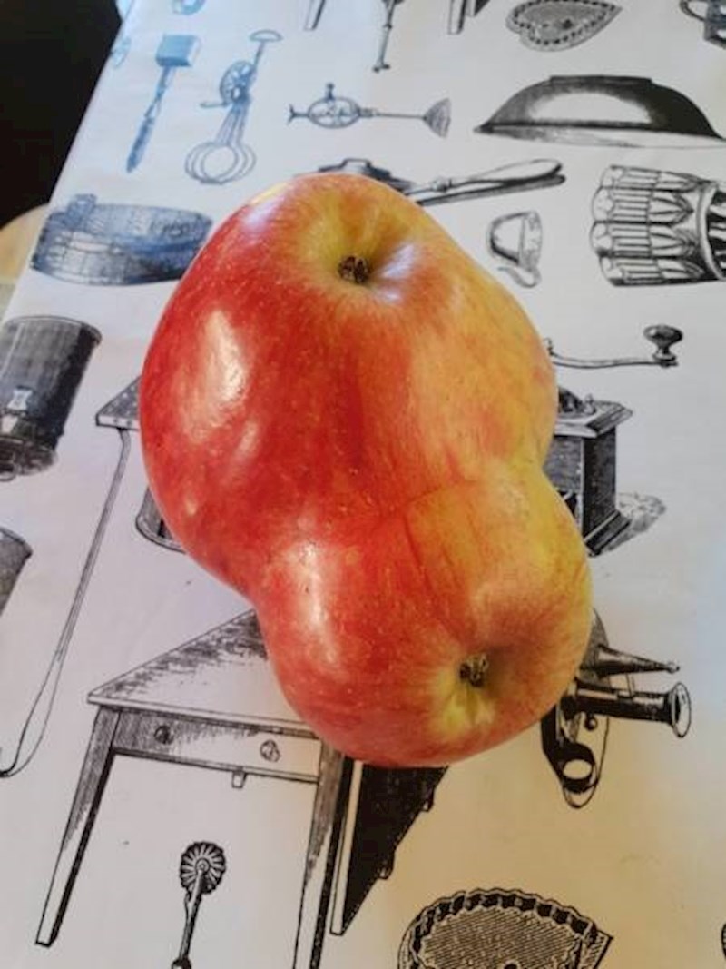 Jabuka iz druge dimenzije