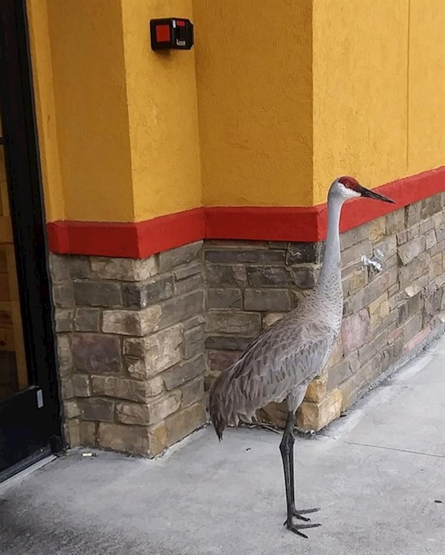 "Pogledajte tko je stajao ispred ulaza u restoran."
