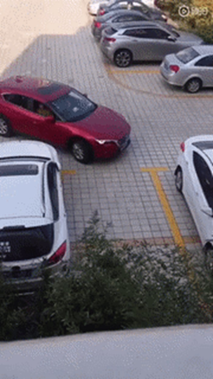 Muškarci će se smijati dok budu gledali ovu snimku: Djevojkama je parkiranje auta bila nemoguća misija!