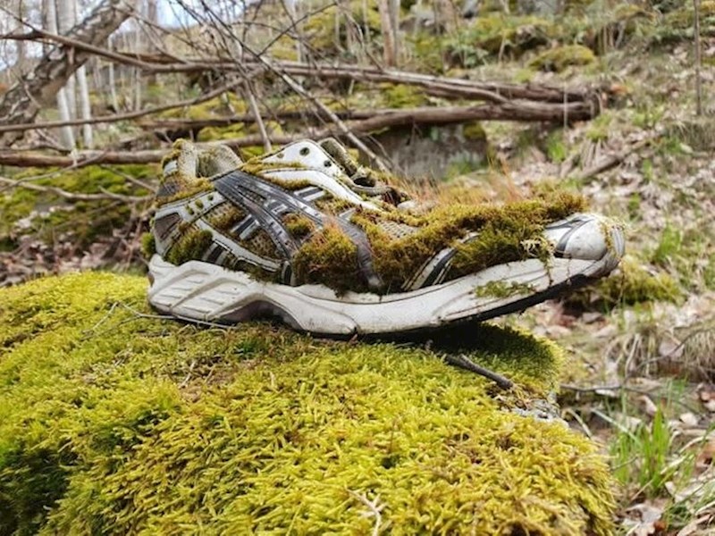 Priroda je progutala tenisicu i ukrasila je po svom ukusu.