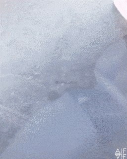 Vjetrobransko staklo mu se zaledilo pa je pronašao najbolje rješenje ikad