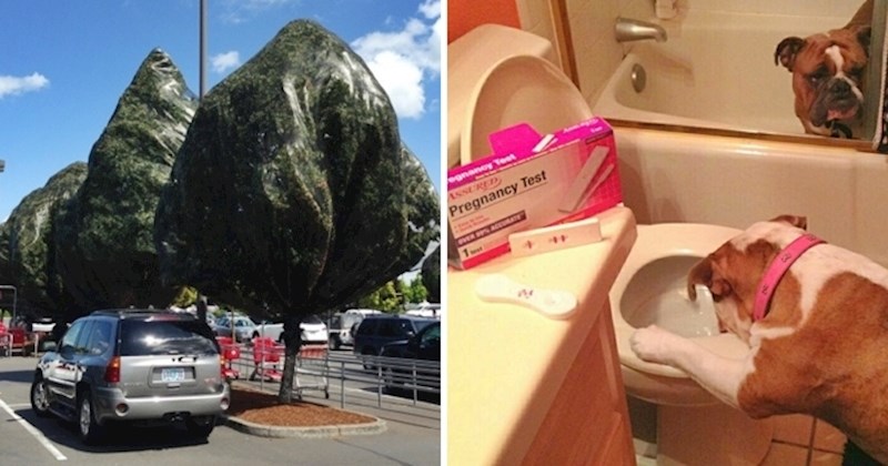 20 nesvakidašnjih fotki koje izgledaju kao da su slikane u paralelnom svemiru