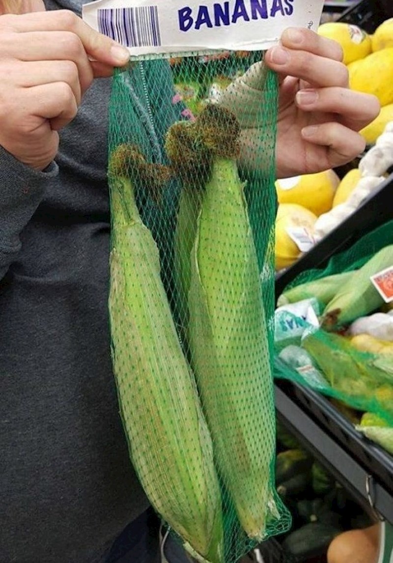 Kome je kukuruz izgledao kao banana?