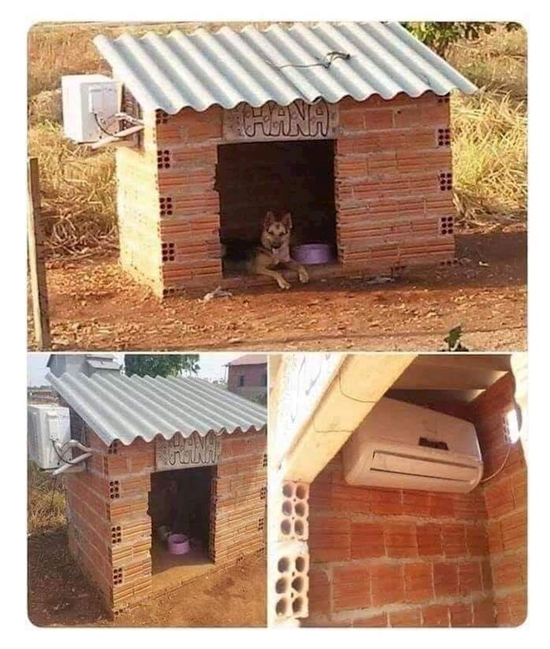 Evo kako izgleda Hanina kućica: