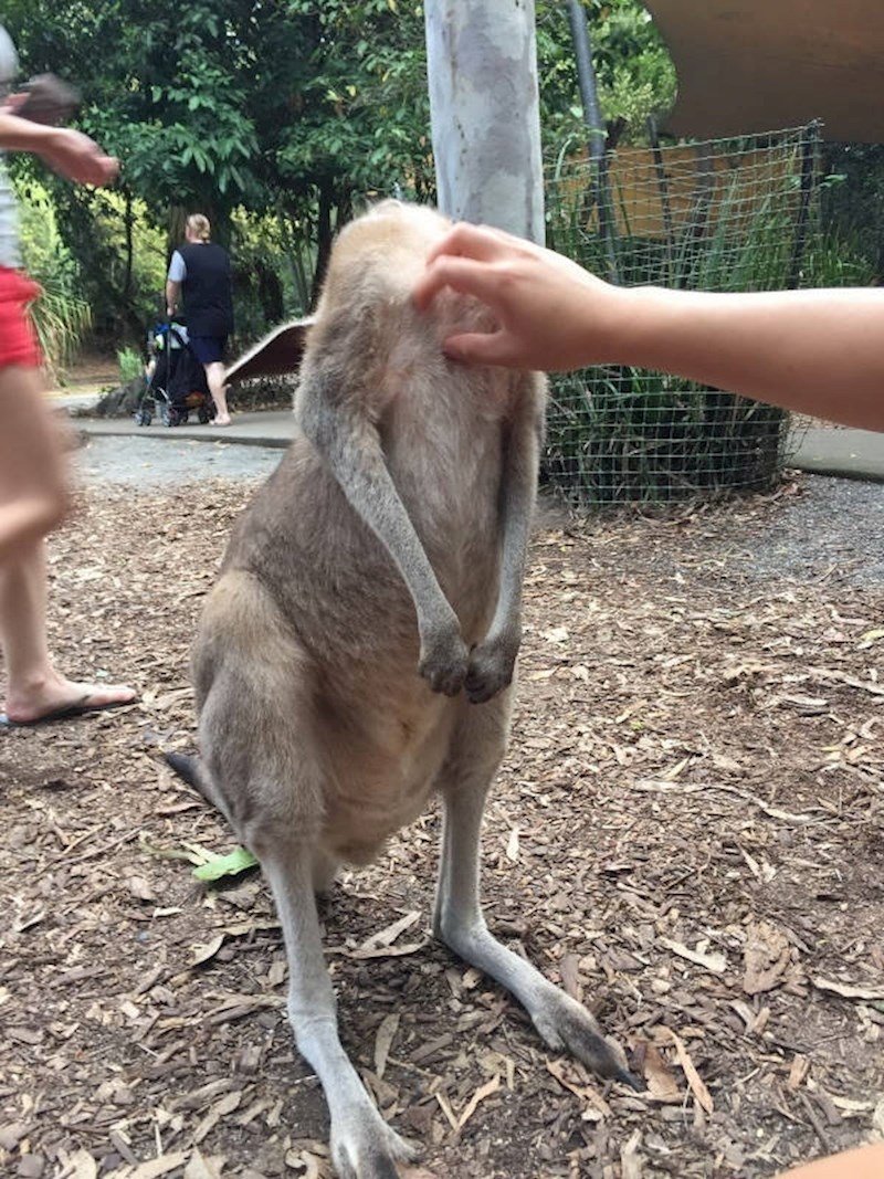 Gdje mu je glava? :)