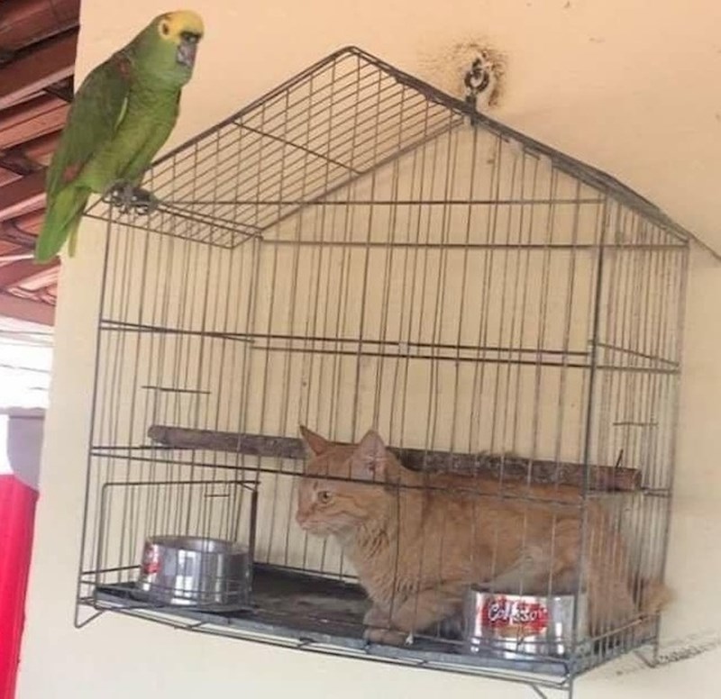 Ok, ovdje nešto nije u redu. Malo su zamijenili uloge.