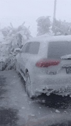 Žena nije mogla ići na posao, kad vidite što je snimila, shvatit ćete da je imala opravdan razlog