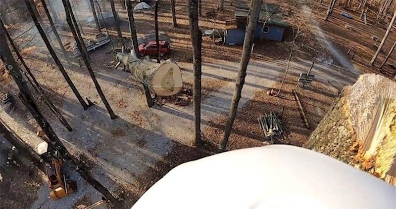 VIDEO Lik je sjekao drva pa snimio nešto što se vidi samo jednom u životu