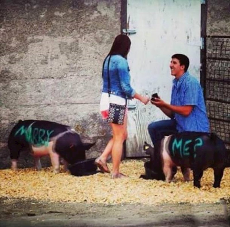 U ovom okruženju se sigurno osjećala posebno...