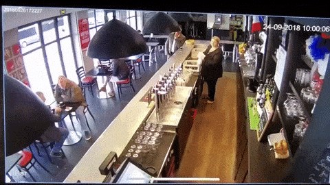 NEOČEKIVANI GOST Svi su počeli trčati i bježati kad su vidjeli tko ulazi u restoran (ne, nije pljačkaš)