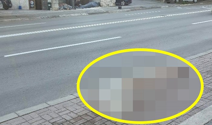 Dalmatinac je na bizaran način rezervirao parkirno mjesto, pogledajte zašto su se ostali smijali