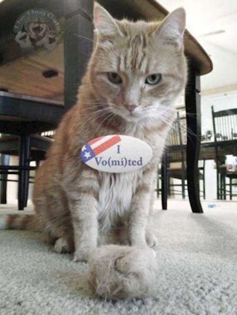 Zanimljiva igra riječi