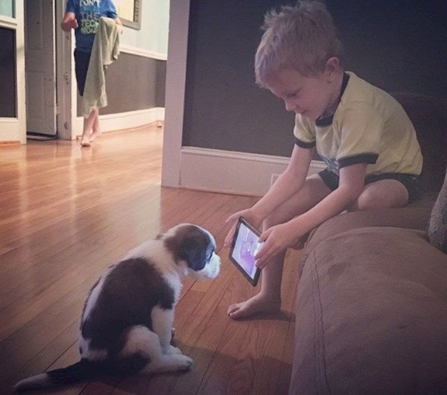Dječačić je psiću pokazivao trikove, mislio je da će ga tako naučiti.