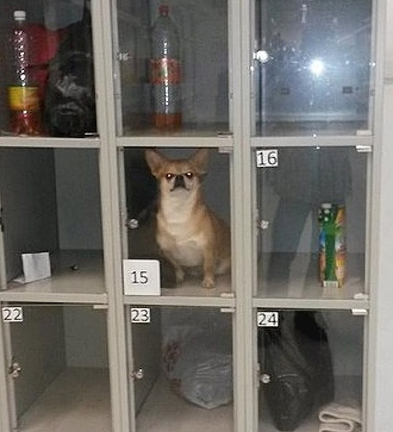 Netko je ostavio svog ljubimca na potpuno neprimjerenom mjestu. :(