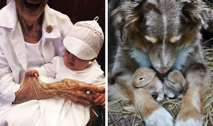 30 prekrasnih fotografija koje i bez opisa govore više od tisuću riječi