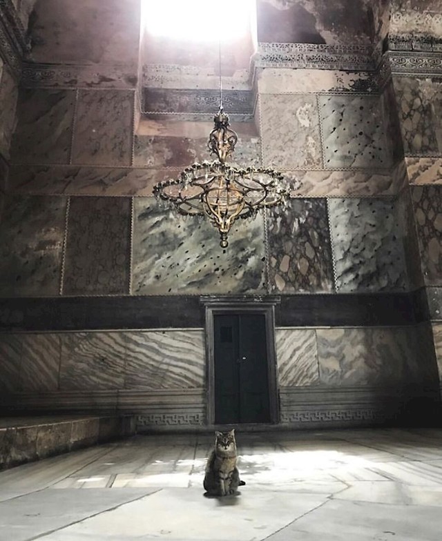 #7
