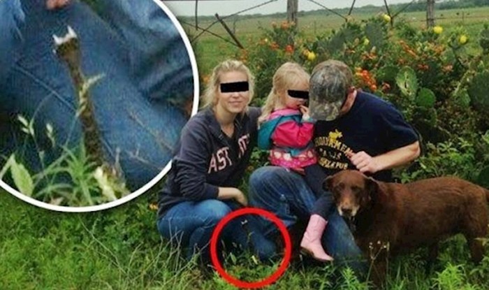 25 čudnih slika nesretnika koji su imali jedan od gorih dana u godini