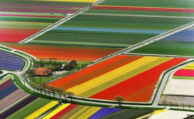 #21