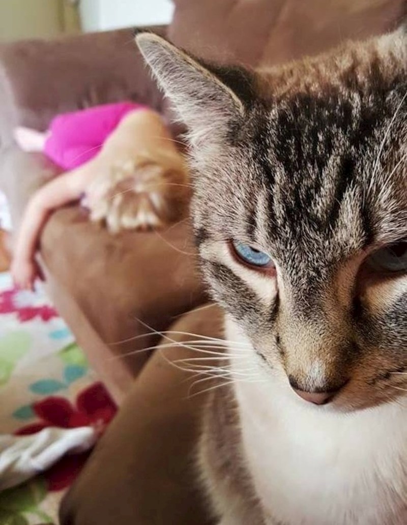 "Ma ništa joj nisam učinila... ona samo spava."