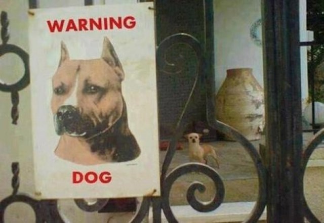 Oprez, oštar pas!