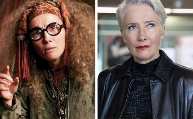 Professor Trelawney (Emma Thompson)