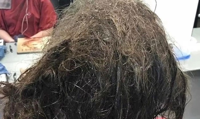 Djevojka je u frizerski salon ušla s užasno neurednom i zapetljanom kosom, razlog je bio bolan za čuti