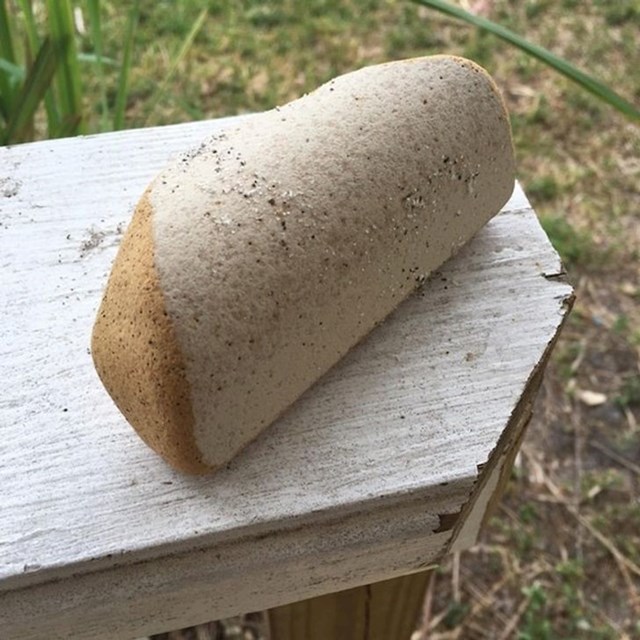 "Na plaži sam našao kamen koji izgleda kao kruh."