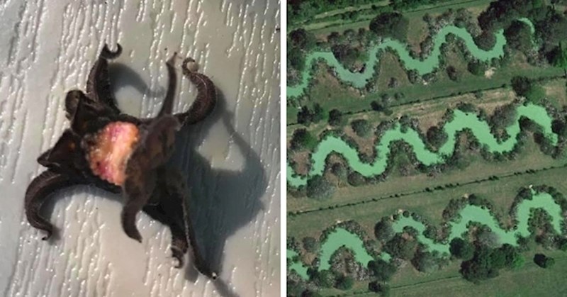 20 ljudi podijelilo je zbunjujuće fotke, netko im je objasnio o čemu je zapravo riječ