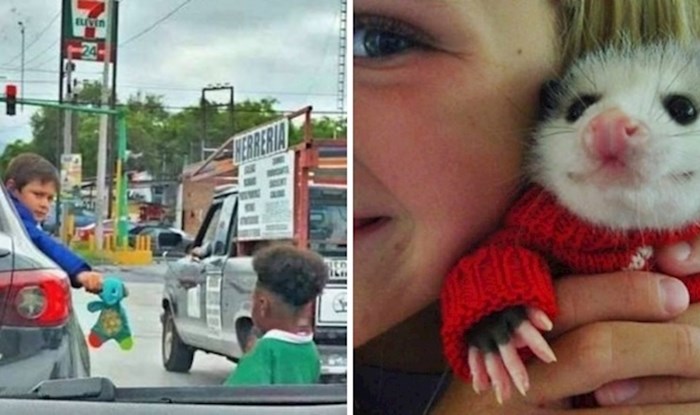 30 fotografija koje ne trebaju nikakav opis kako bi vas očarale