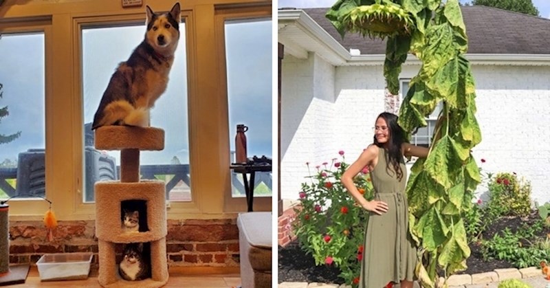 Ovi ljudi su naišli na nesvakidašnje prizore koje nikako nisu očekivali