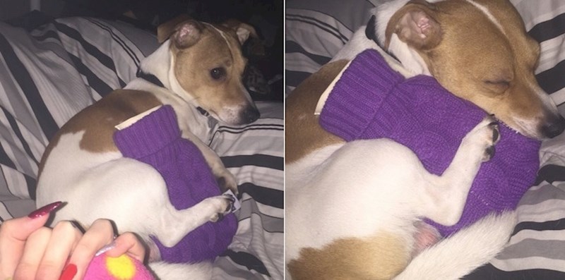 "Vidjela sam da je mom psu bilo hladno (nije htio pod pokrivač) pa sam mu napunila bocu vrelom vodom. Bio je oduševljen."