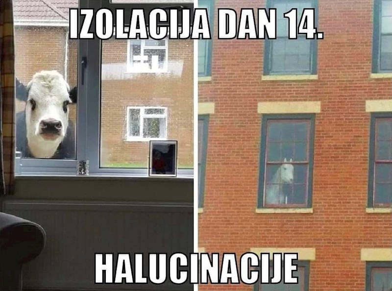 Ono kad počneš halucinirati...