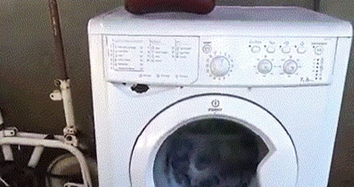 Ovaj lik je imao zanimljivu ideju, pogledajte kako je prao odjeću u perilici rublja