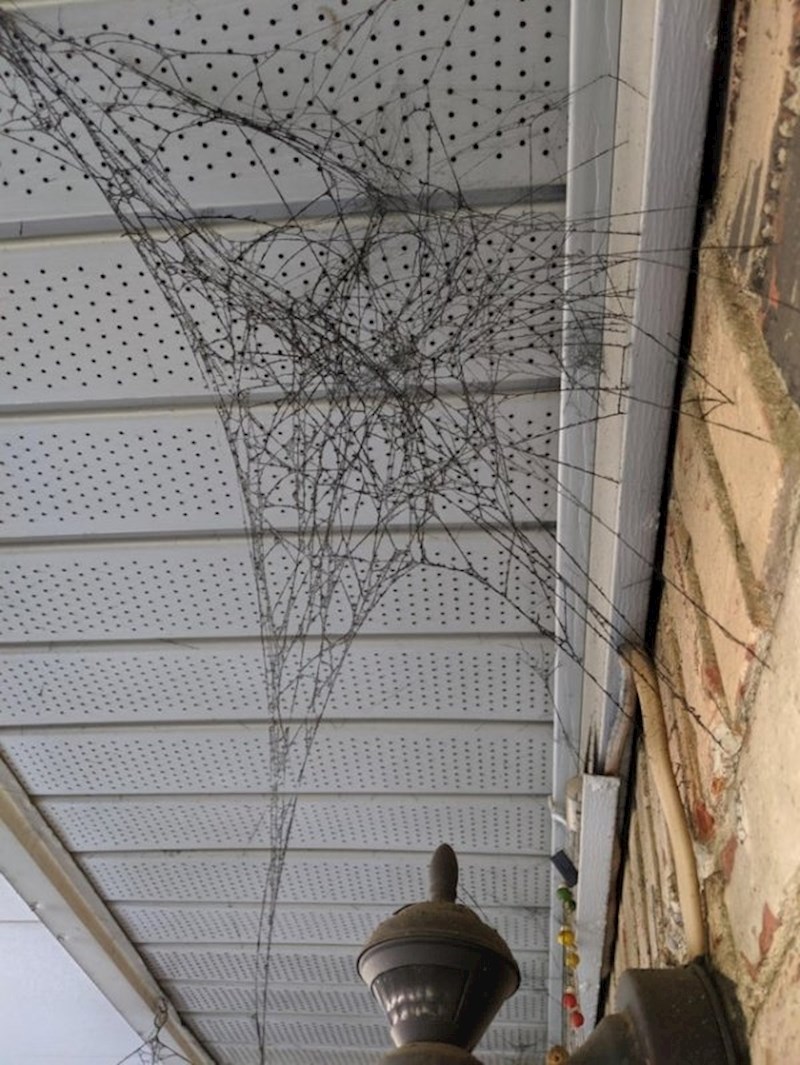 "Dim je ofarbao paučinu, sad je crna."