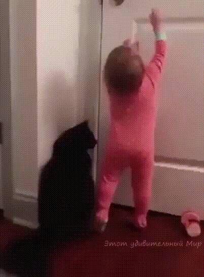 Klinka nije uspjela sama otvoriti vrata, no našla je nekoga tko joj je pomogao