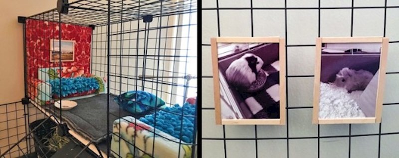 "Moja mama je kavez za naše zamorce pretvorila u minijaturni stančić s kaučima i starim slikama koje smo napravili dok su bili bebe."