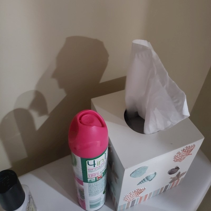 Na prvi pogled obična fotka, no pogledajte sjenu...