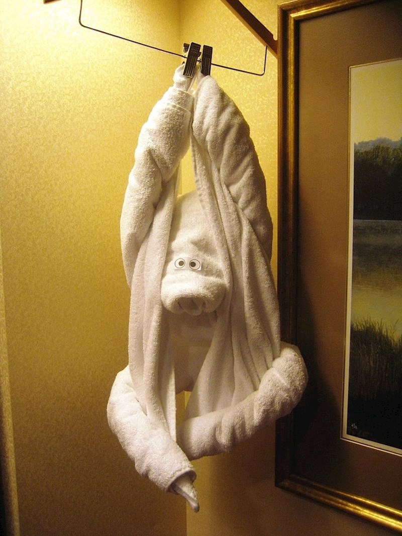 "Evo što nas je dočekalo u našoj kabini na kruzeru."