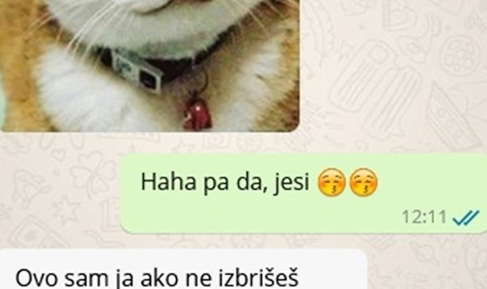 Žena mu je poslala slike mačaka pa mu pokazala što će se dogoditi ako je ne posluša